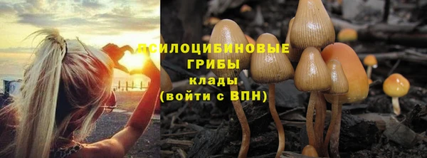 гашиш Дмитриев