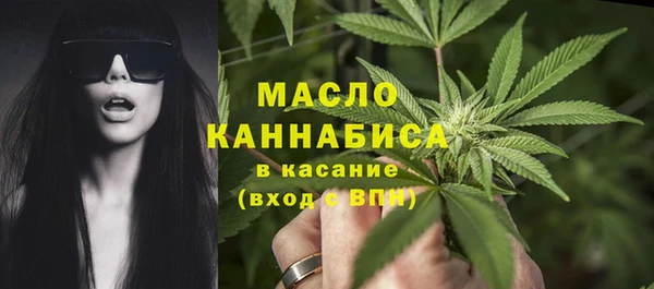 мдпв Дмитров