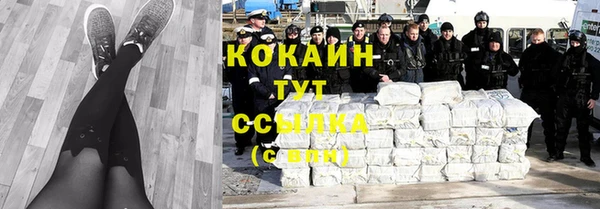 мдпв Дмитров