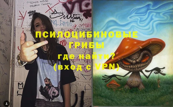 spice Дмитровск