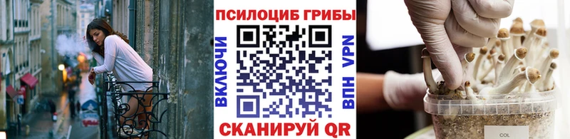 даркнет сайт  mega tor  Галлюциногенные грибы MAGIC MUSHROOMS  Нефтекамск 